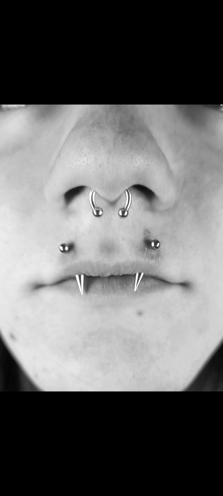 Angel Fang´s, Septum